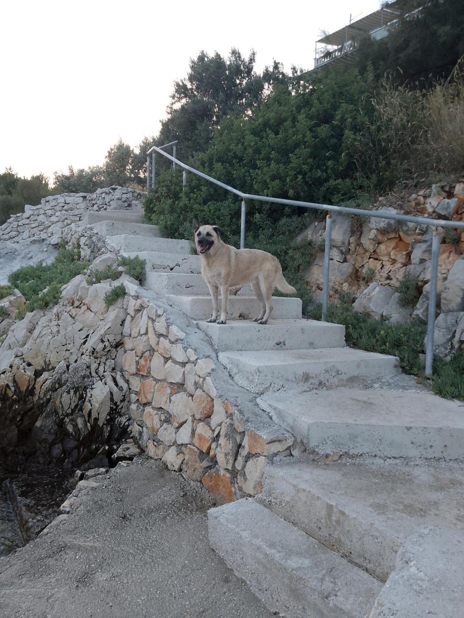 Villa Pinky And Superior Trogir Seget Vranjica Kültér fotó