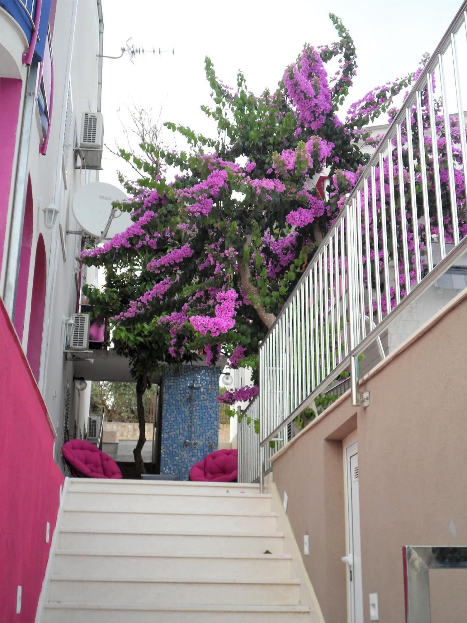 Villa Pinky And Superior Trogir Seget Vranjica Kültér fotó
